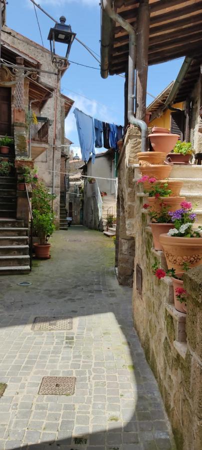 La Chascona Di Farnese Casa Di Tufo Nel Borgo Exterior foto