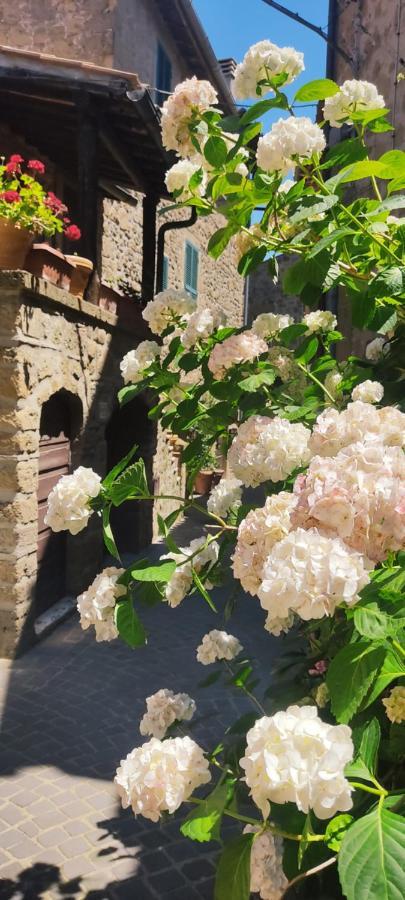La Chascona Di Farnese Casa Di Tufo Nel Borgo Exterior foto