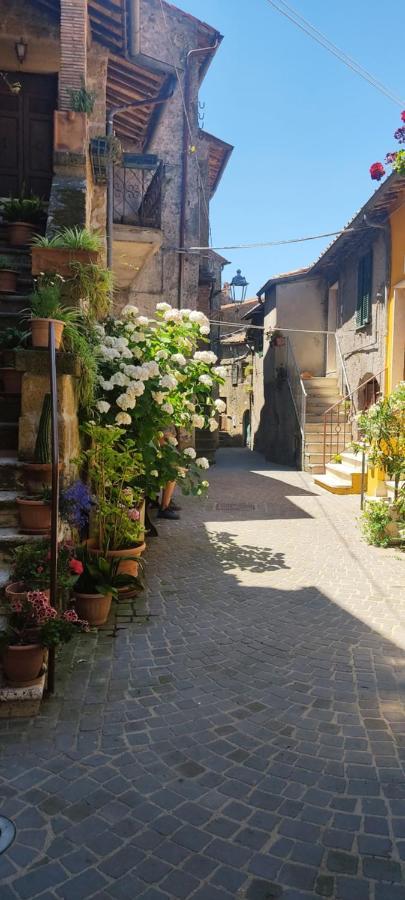 La Chascona Di Farnese Casa Di Tufo Nel Borgo Exterior foto